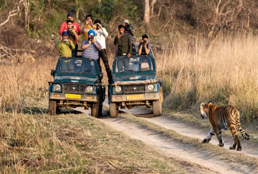 Jim Corbett Tour Packages From Delhi | Jim Corbett Trip Packages