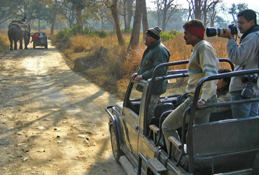 Jim Corbett Tour Packages From Delhi | Jim Corbett Trip Packages